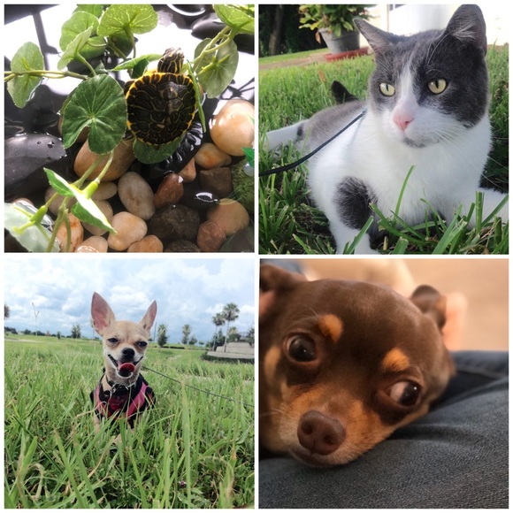 Meet Your Posher😆 ‼️OFFERS WELCOMED ALWAYS 😁‼️ - Picture 4 of 5